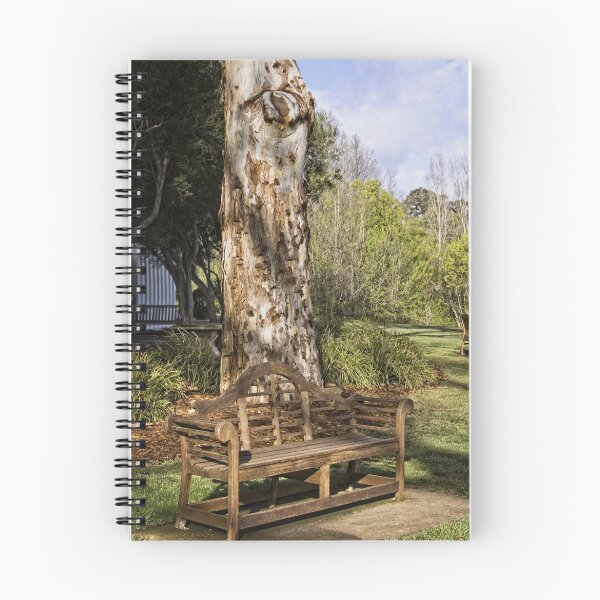 Item preview, Bench at Lake Burley Griffin designed and sold by Wolf Sverak Photography.