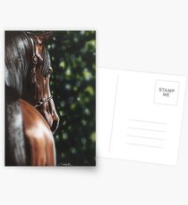 Bey El Bay Postcards
