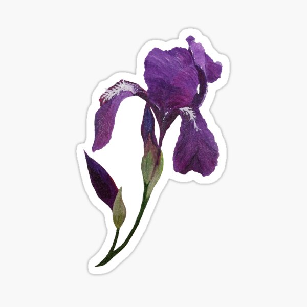 Item preview, Purple Iris 2 designed and sold by Jan Palmer.