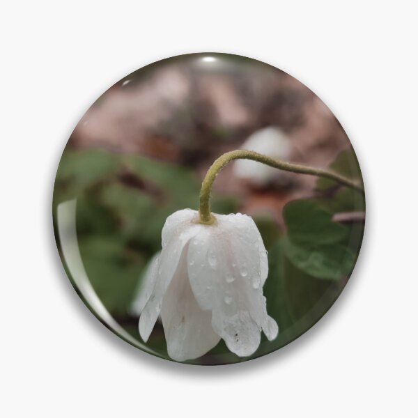 Item preview,  Anemone nemorosa with water droplets designed and sold by masked-ivan.