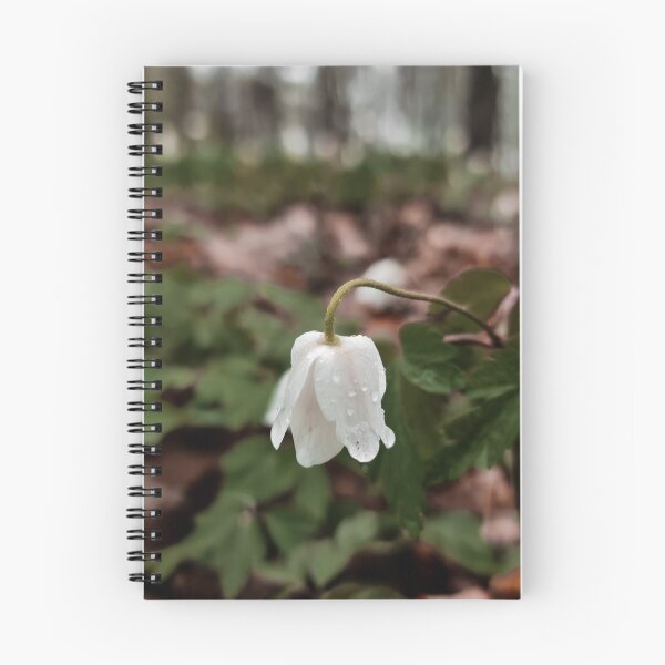 Item preview,  Anemone nemorosa with water droplets designed and sold by masked-ivan.
