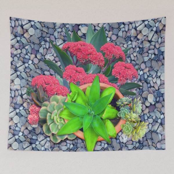 Item preview, Flowering Crassula Perfoliata designed and sold by NadineMay.