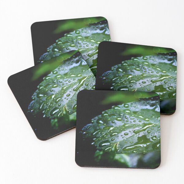 Item preview, Wet Vibrant Green Leaf designed and sold by Stephen Orsillo.
