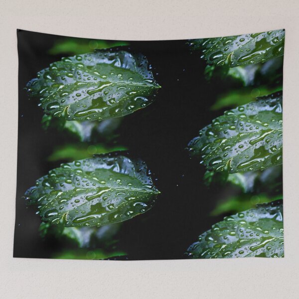 Item preview, Wet Vibrant Green Leaf designed and sold by Stephen Orsillo.