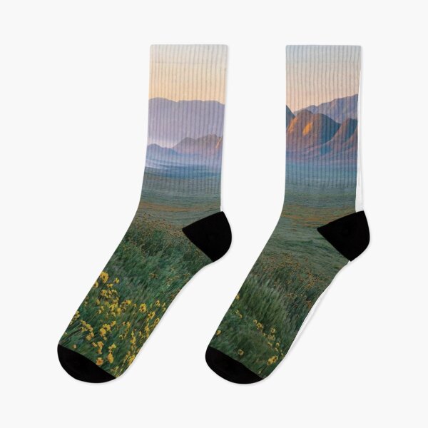 Item preview, Hillside Daisies At Sunsrise Soda Lake Carrizo Plain Nm California designed and sold by BachmaierEwald.