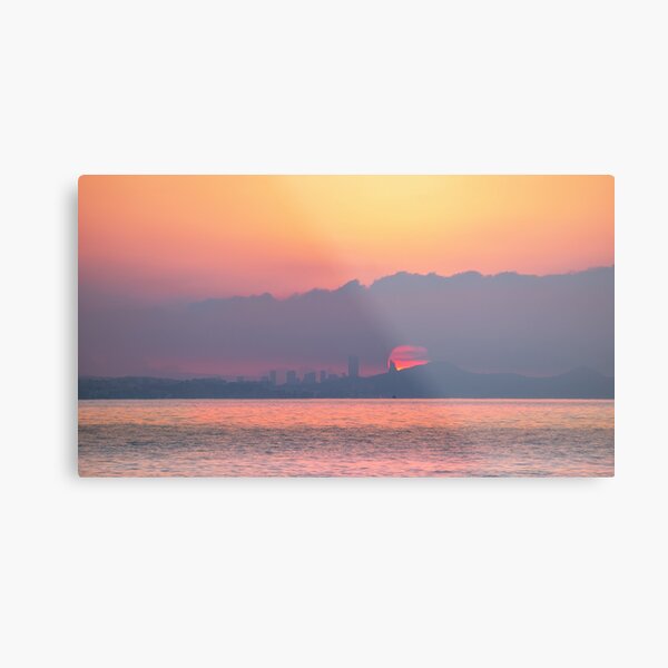 Metal Print
