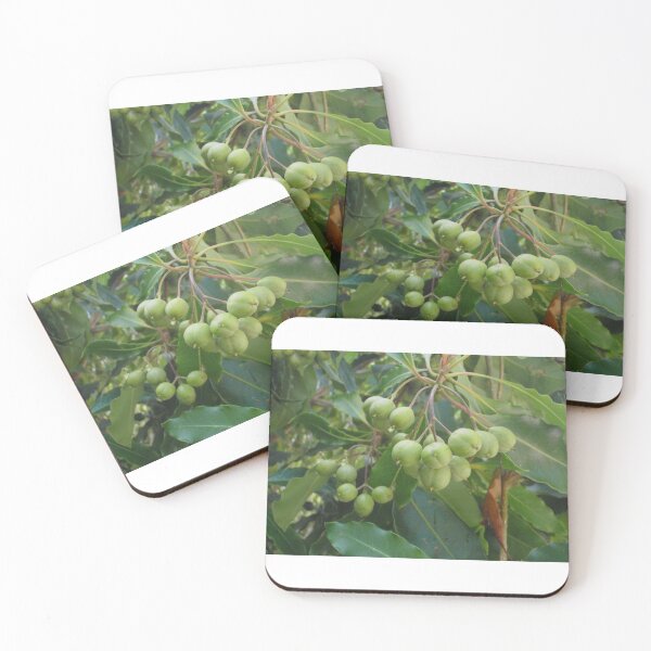 Item preview, Tree Fruit designed and sold by KazM.