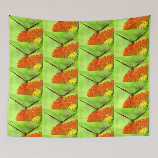 Item preview, Don't Know If I'm Coming Or Going designed and sold by Jean Gregory Evans.