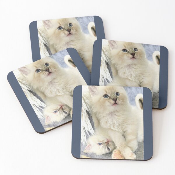 Item preview, Lynx ragdoll kittens designed and sold by Fluffycat2020.