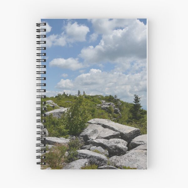 Item preview, Bear Rocks designed and sold by ArtistryPix.