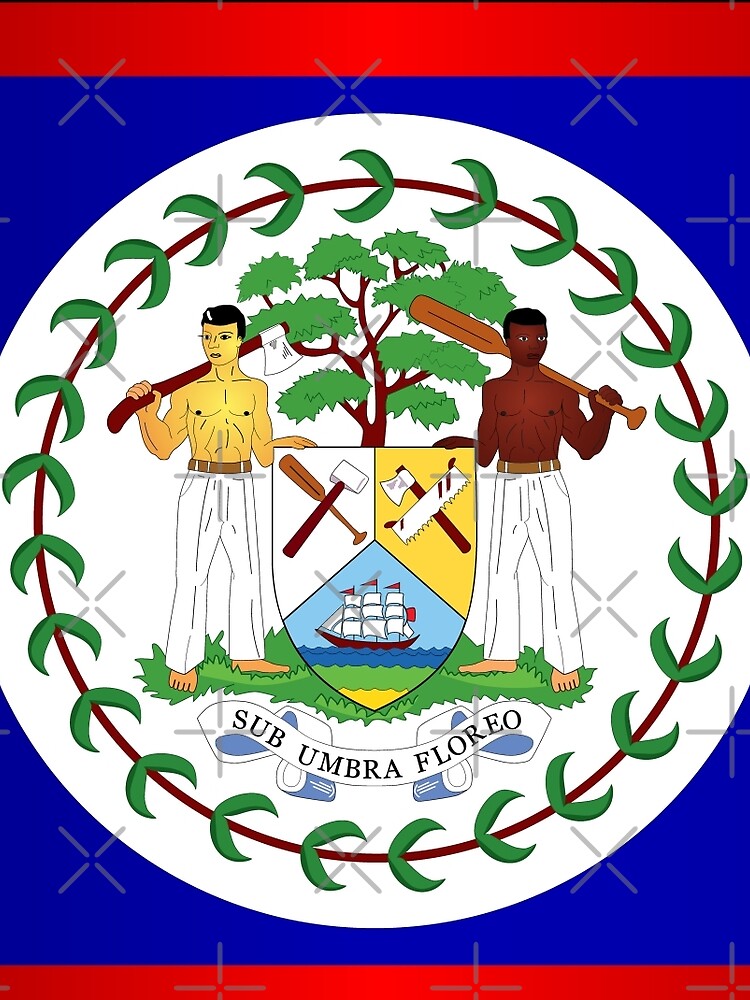 Admin flag