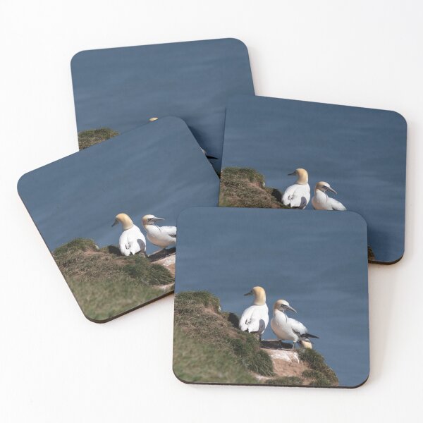 Item preview, Pair of gannets at Bempton Cliffs designed and sold by HazelWright.