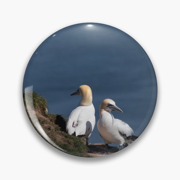 Item preview, Pair of gannets at Bempton Cliffs designed and sold by HazelWright.