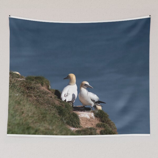 Item preview, Pair of gannets at Bempton Cliffs designed and sold by HazelWright.
