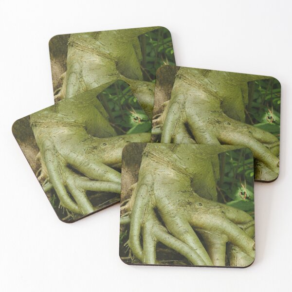 Item preview, intricately intertwined roots of a tree in the forest designed and sold by mrivserg.