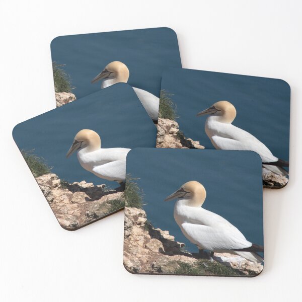 Item preview, Gannet on a cliff at Bempton cliffs designed and sold by HazelWright.