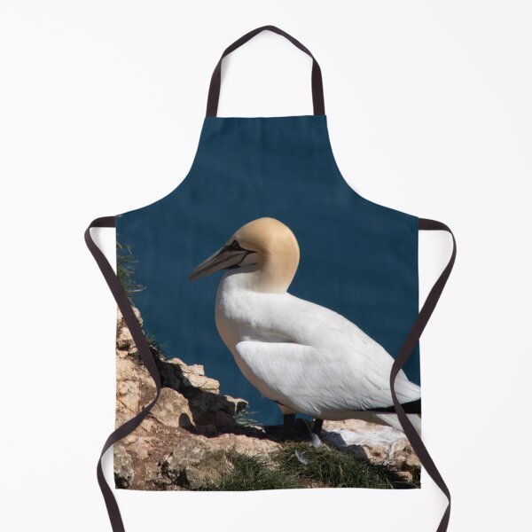Item preview, Gannet on a cliff at Bempton cliffs designed and sold by HazelWright.