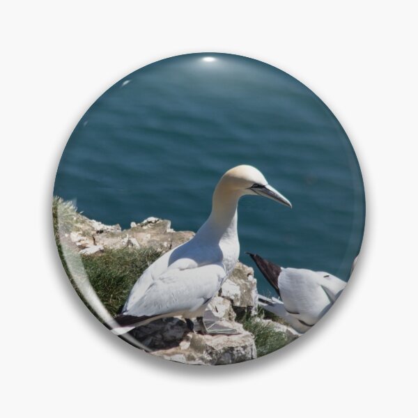 Item preview, Pair of gannets at Bempton Cliffs designed and sold by HazelWright.