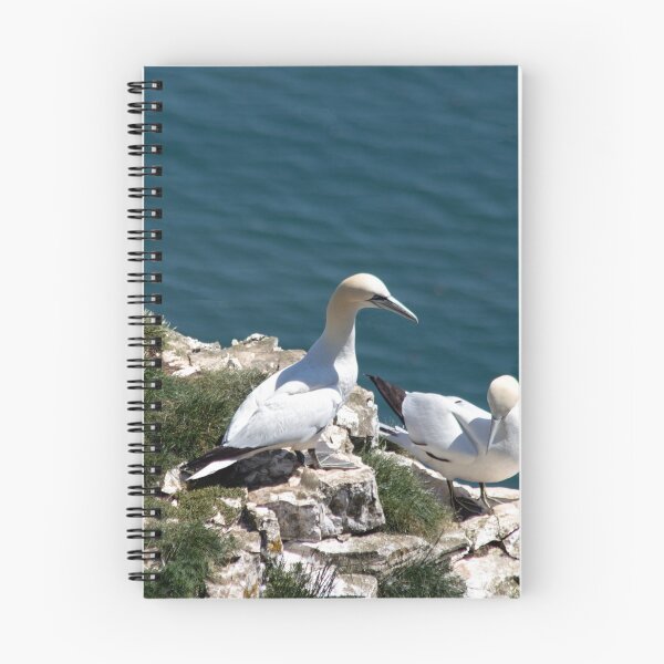Item preview, Pair of gannets at Bempton Cliffs designed and sold by HazelWright.