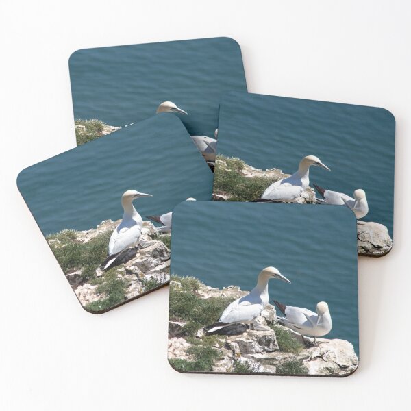 Item preview, Pair of gannets at Bempton Cliffs designed and sold by HazelWright.