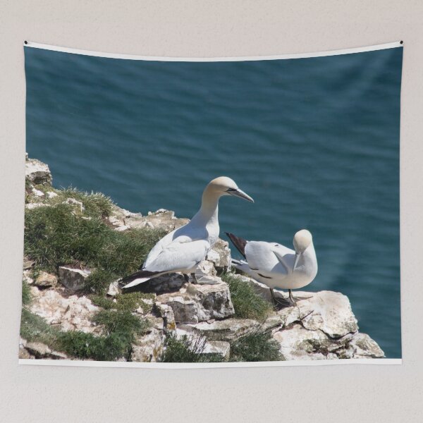 Item preview, Pair of gannets at Bempton Cliffs designed and sold by HazelWright.