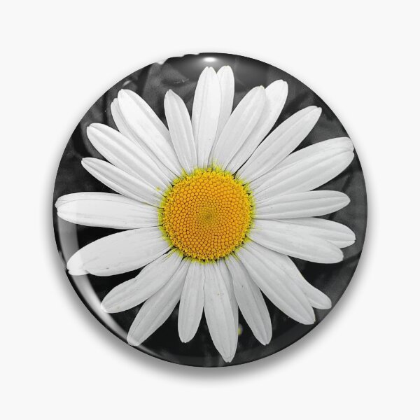 Item preview, Daisy Daisy designed and sold by Frank-Vincent.