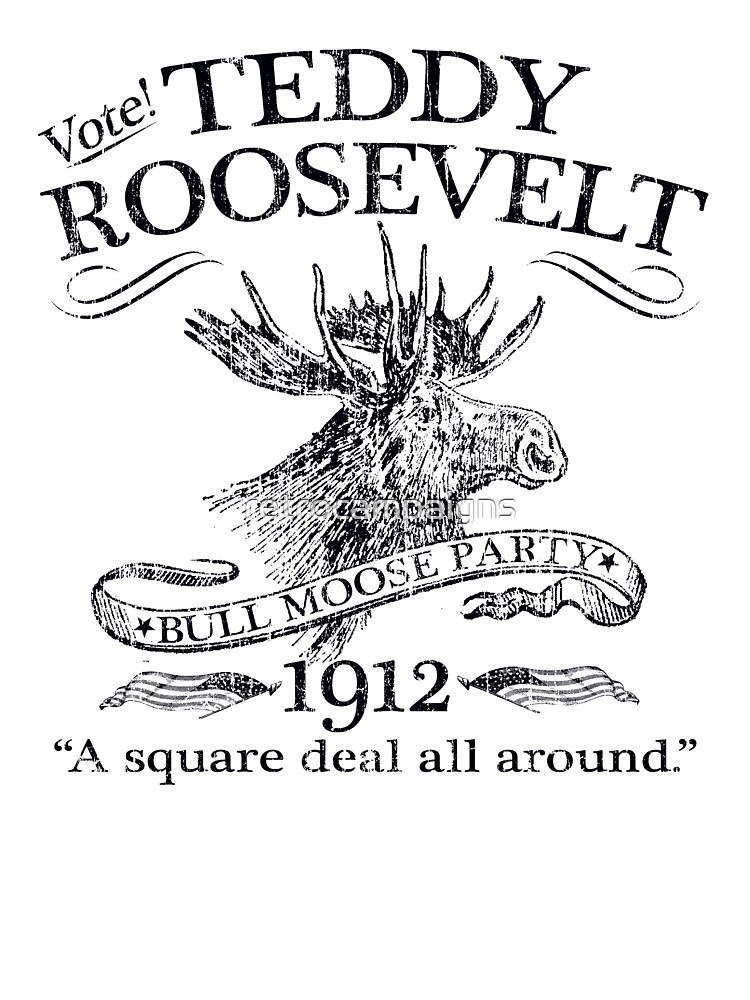 Teddy Roosevelt Bull Moose Party 1912 Presidential Campaign Kids T Shirt By Retrocampaigns Redbubble