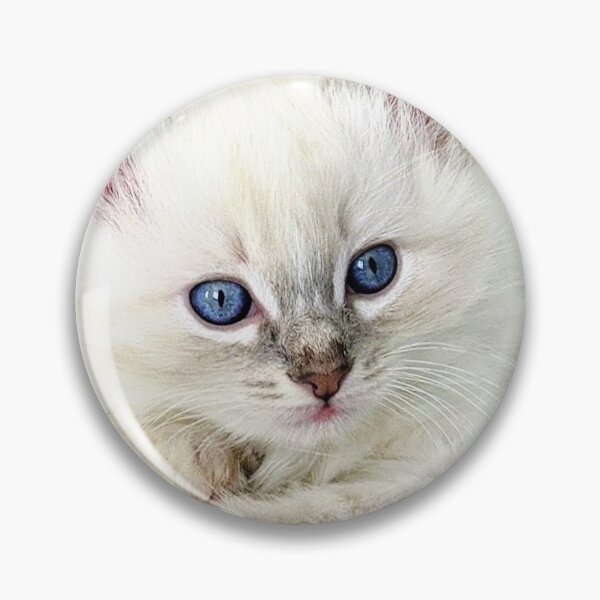 Item preview, Lynx ragdoll kitten designed and sold by Fluffycat2020.