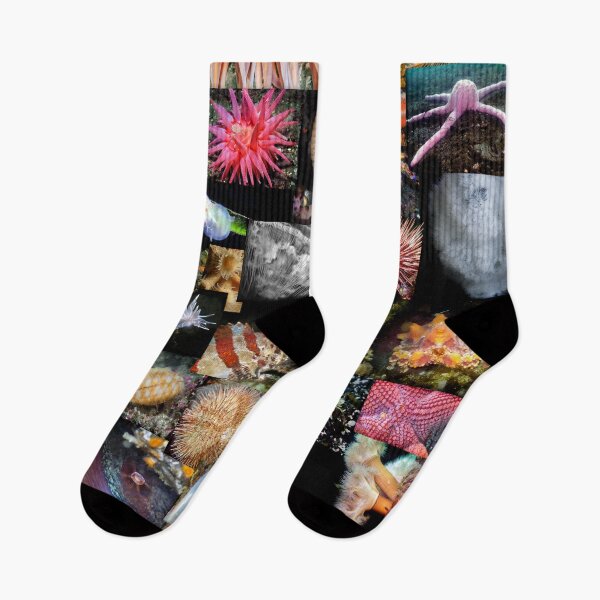 Item preview, British Columbia Marine Life Collage designed and sold by naturediver.