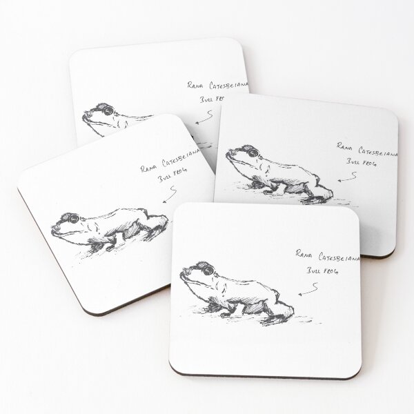 Item preview, Bull frog sketch designed and sold by BGooddy.