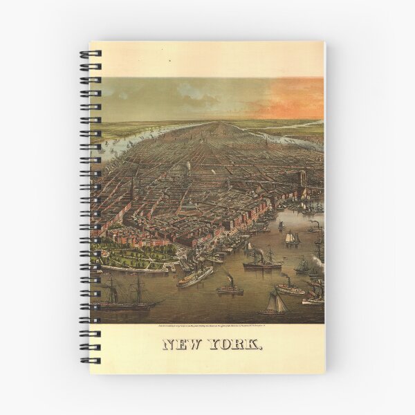 Item preview, New York City (1873) designed and sold by allhistory.