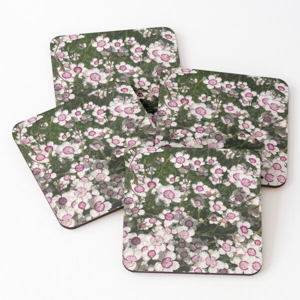 Item preview, Dianthus Sweet William Flower Photography  designed and sold by OByD.