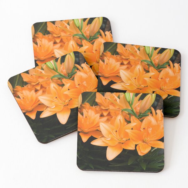 Item preview, Biltmore 58 designed and sold by rebeccaholbrook.