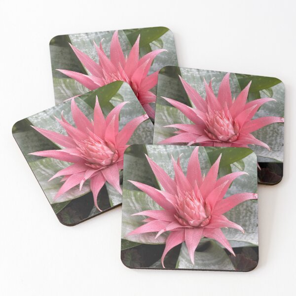 Item preview, Protea Exotic Plants Photography designed and sold by OByD.