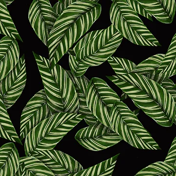 Artwork thumbnail, Leaf Patterns by RizaMonera
