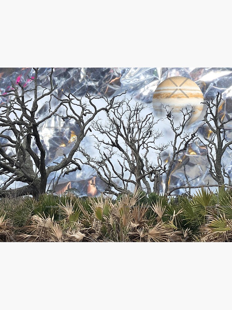 "Jupiter Meets Jekyll Island Driftwood" Poster for Sale by robinreva