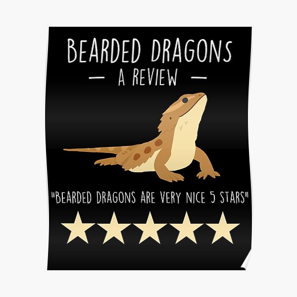 Bearded Dragon Review Poster