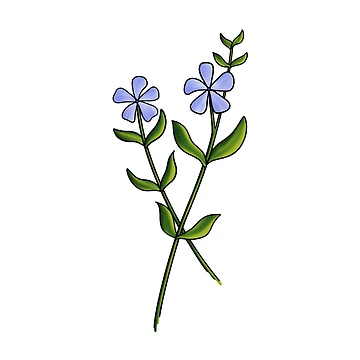 Artwork thumbnail, Periwinkle by Reeseworks