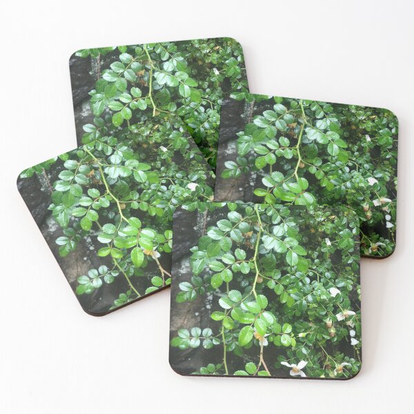 Item preview, Small leaves designed and sold by MissMay5.
