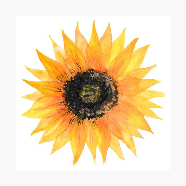 Item preview, Sunflowers designed and sold by PrintinglyArt.