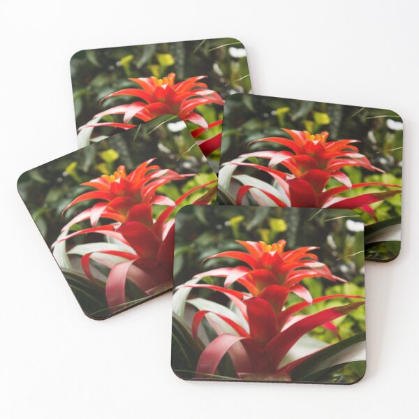 Item preview, Biltmore 62 designed and sold by rebeccaholbrook.