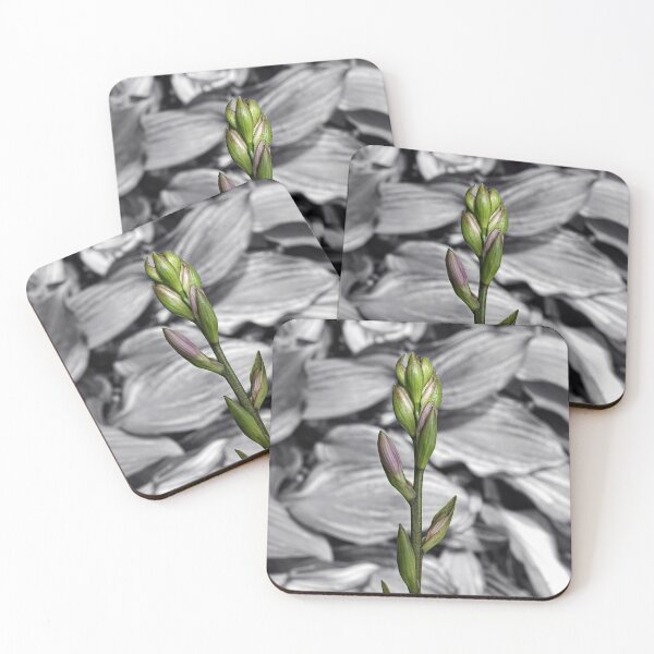 Item preview, Contrasts  designed and sold by Lanis Rossi.