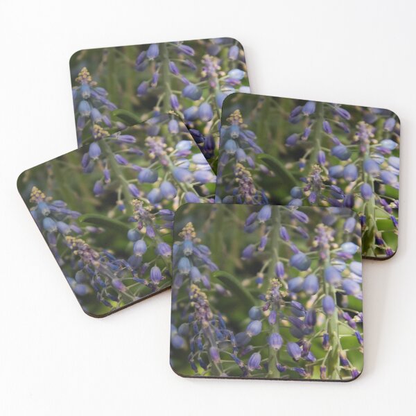 Item preview, Biltmore 63 designed and sold by rebeccaholbrook.