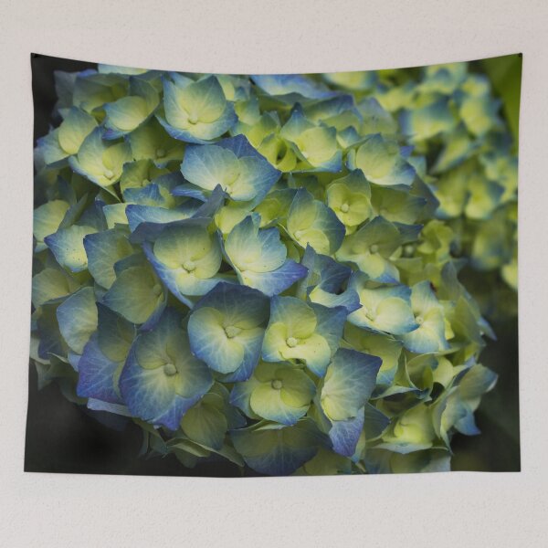 Item preview, Biltmore 67 designed and sold by rebeccaholbrook.