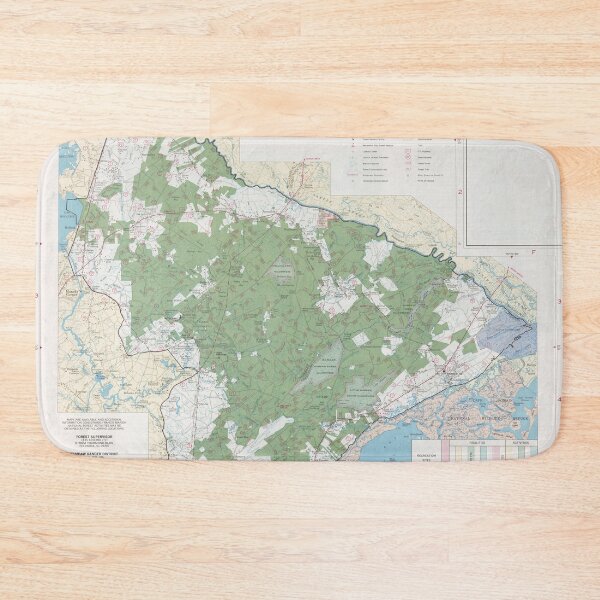 Item preview, Francis Marion National Forest Map (1981) South Carolina Natural Reserve designed and sold by BravuraMedia.