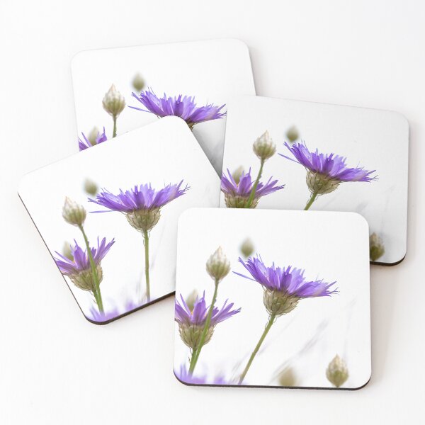 Item preview, Lavender blue daisies designed and sold by PawsomePrints.