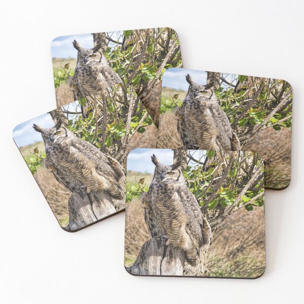 Item preview, Daytime Perch designed and sold by alanathrower.
