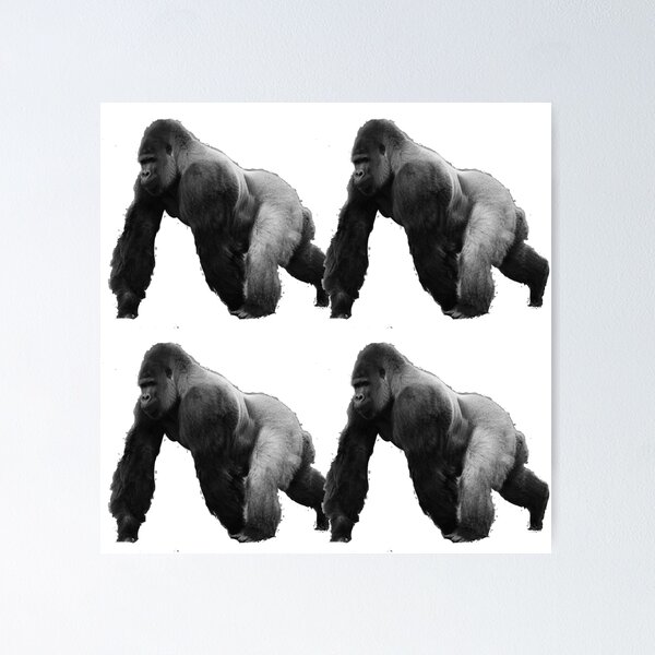 Item preview, harambe unity shirt designed and sold by earlstevens.