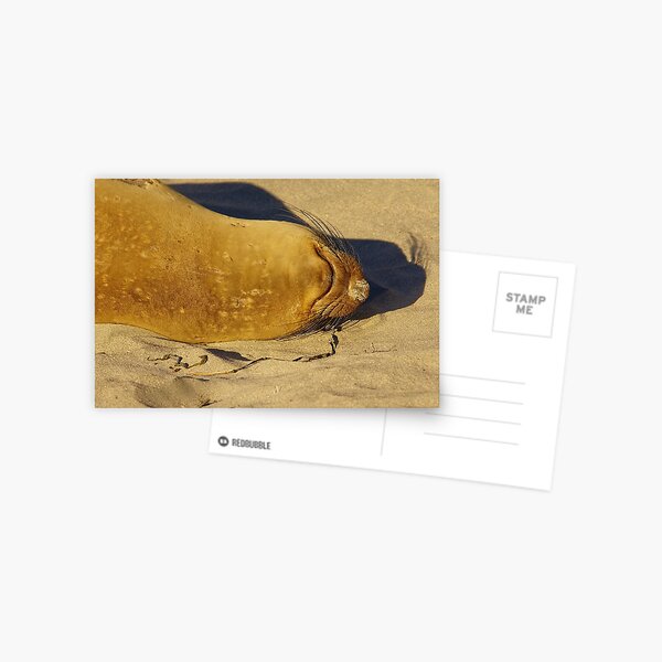 Crashed Postcard