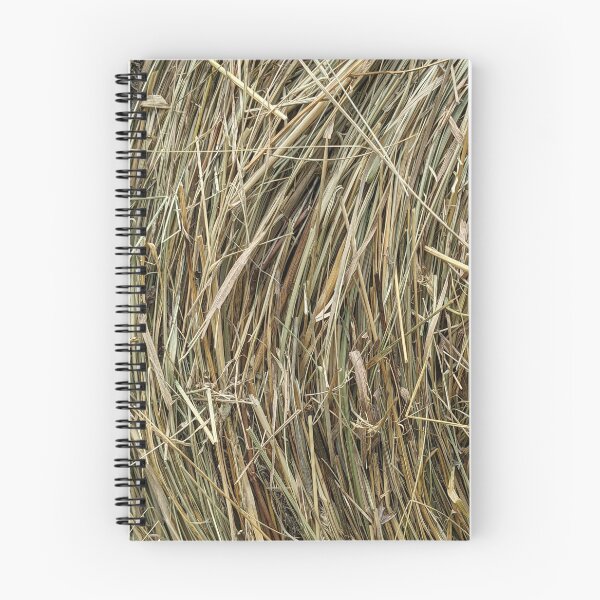 Item preview, Cut the hay today designed and sold by memorguson.